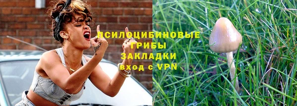 2c-b Пестово