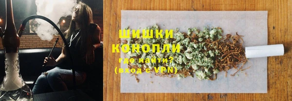 2c-b Пестово